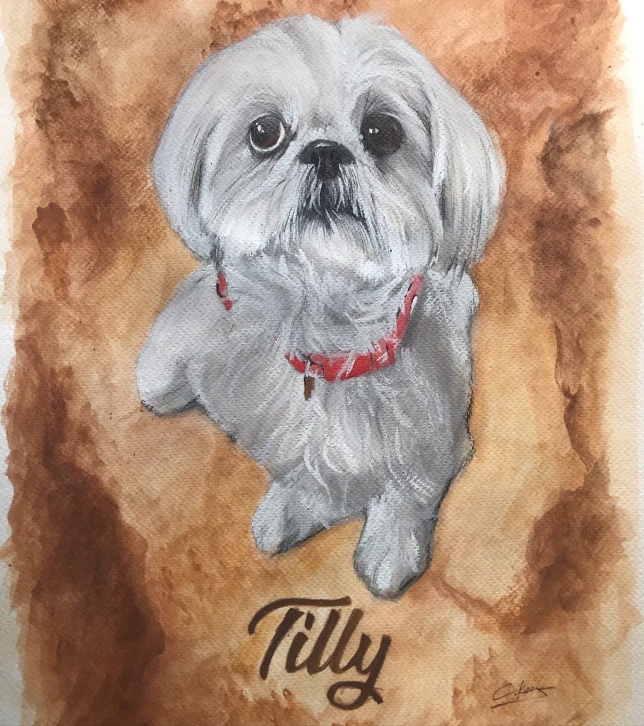 Dog Portrait of Tilly